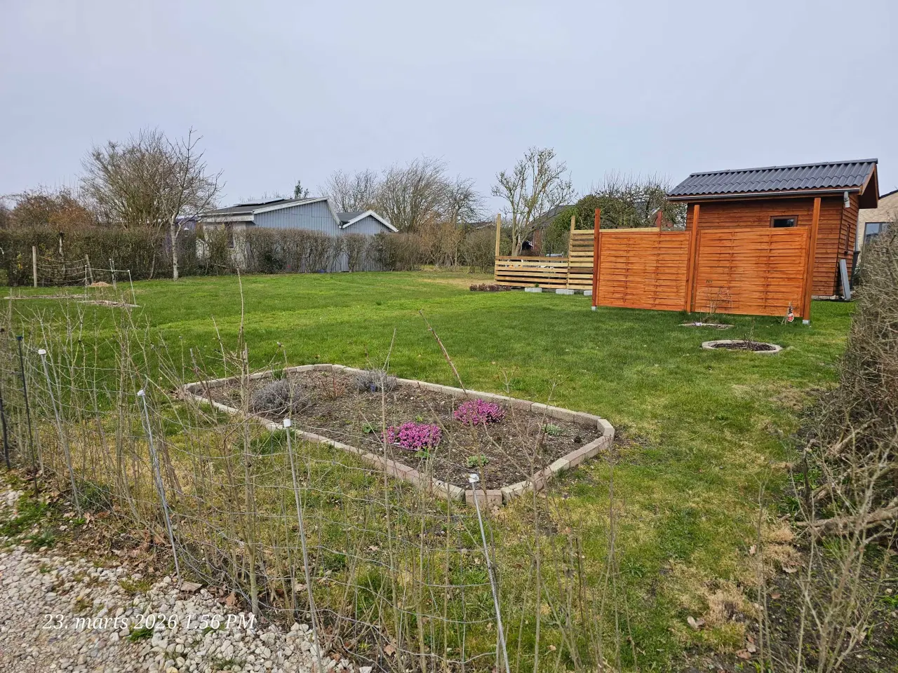 Billede 4 - Kolonihave sælges