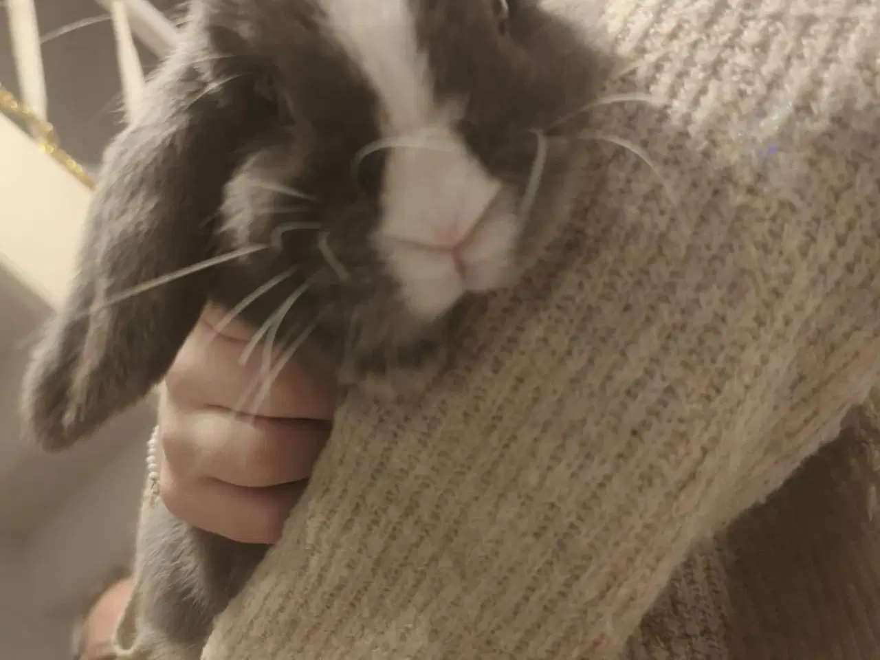 Billede 6 - MiniLoop super tam (haster!)