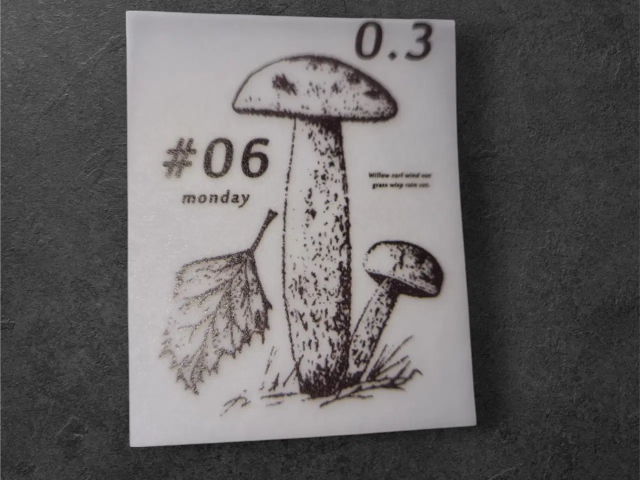 Billede 1 - Mykologisk Mesterværk – svampeillustration med tek