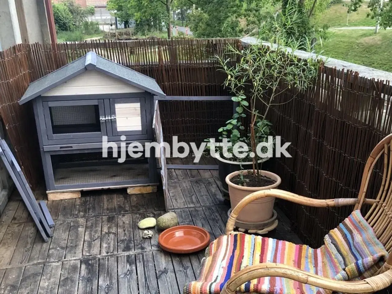 Billede 2 - Hjembytte - SolbjergHave