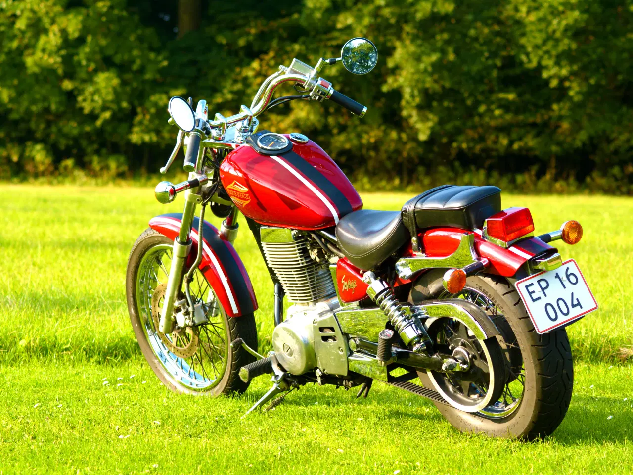 Billede 4 - Suzuki Savage LS 650