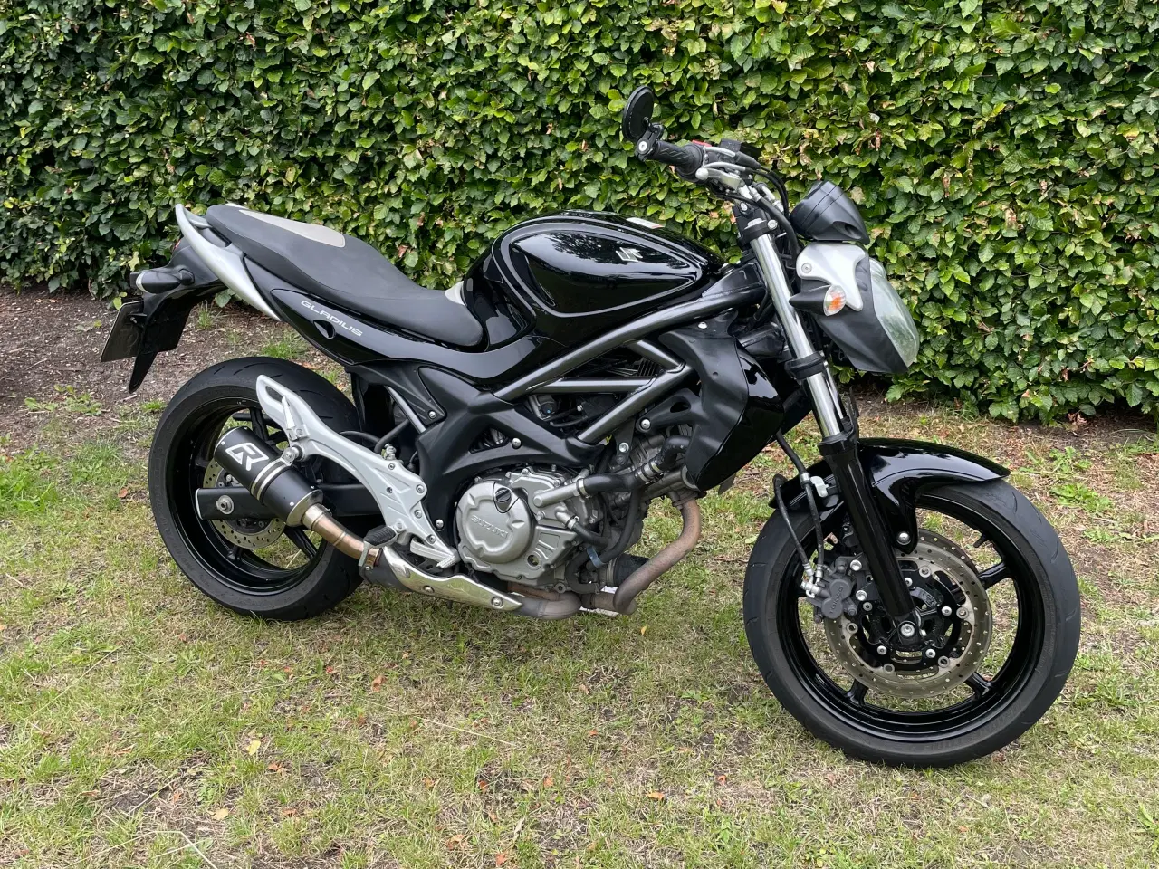 Billede 5 - Suzuki SFV 650 gladius