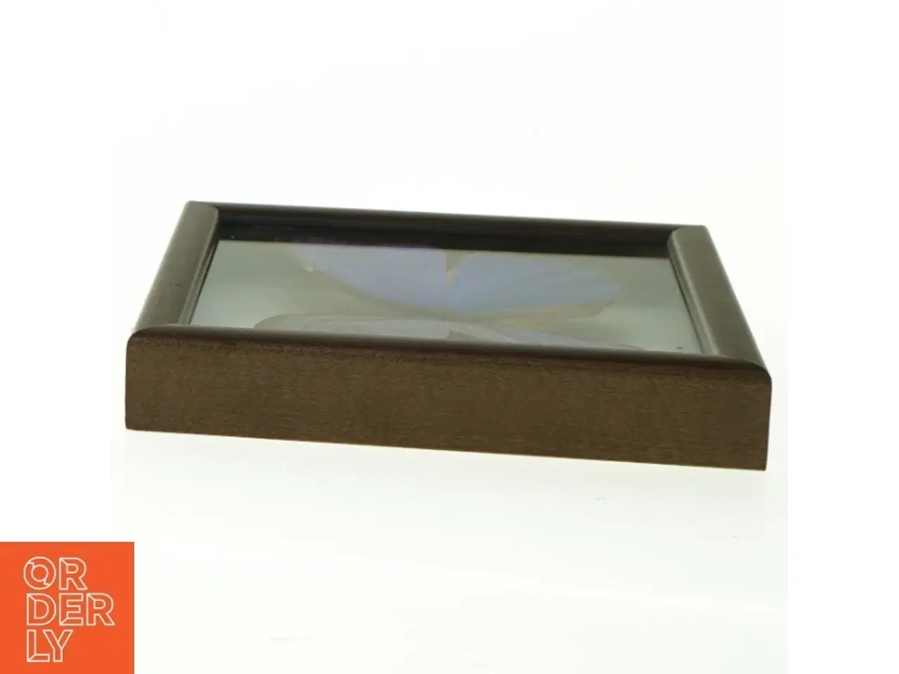 Billede 3 - Indrammet sommerfugl (str. 18 x 18 cm)