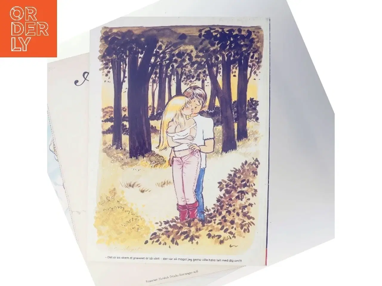 Billede 3 - Hudibras 1988 Tegninger (Bog)