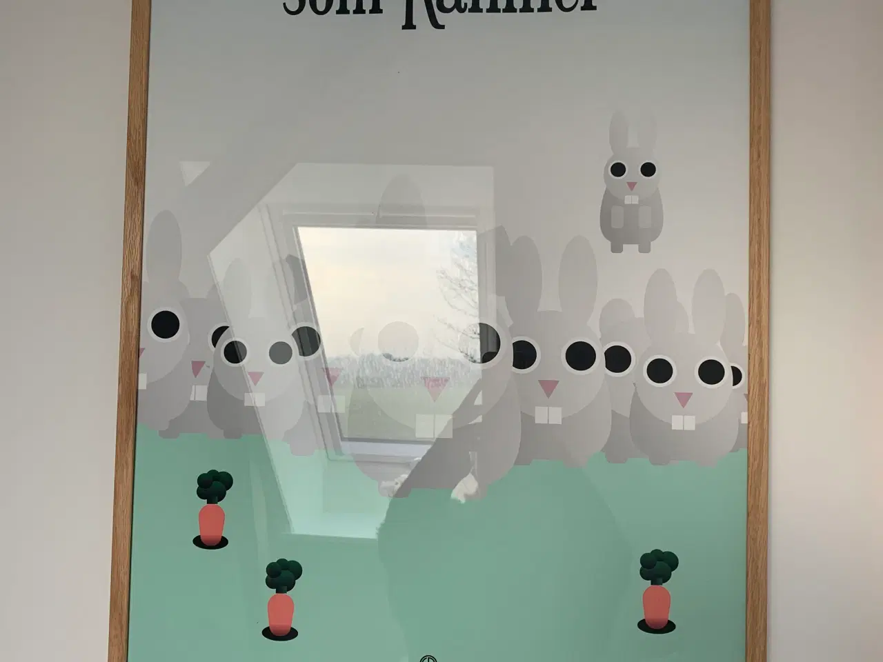 Billede 3 - Flotte indrammede plakater