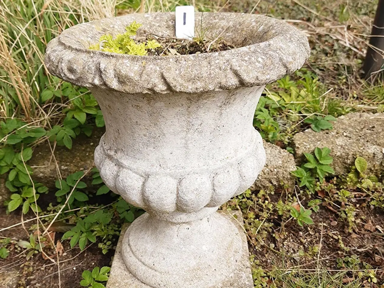 Billede 2 - Havekrukke