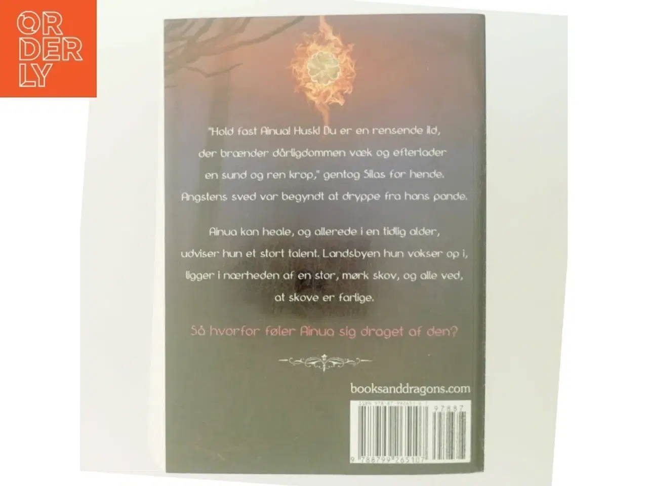 Billede 3 - Ildens flamme af Catharina Kjelgaard Vedel-Smith (Bog)