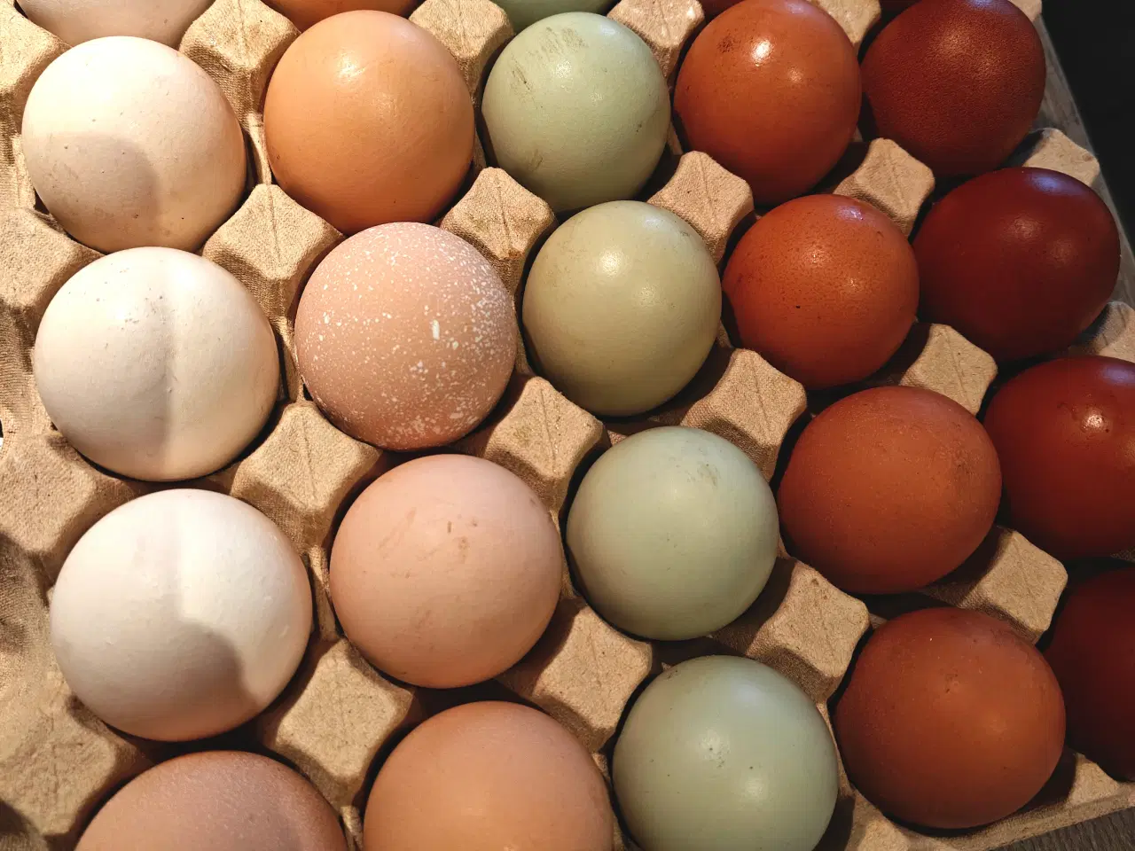 Billede 2 - Rugeæg af blandet flok