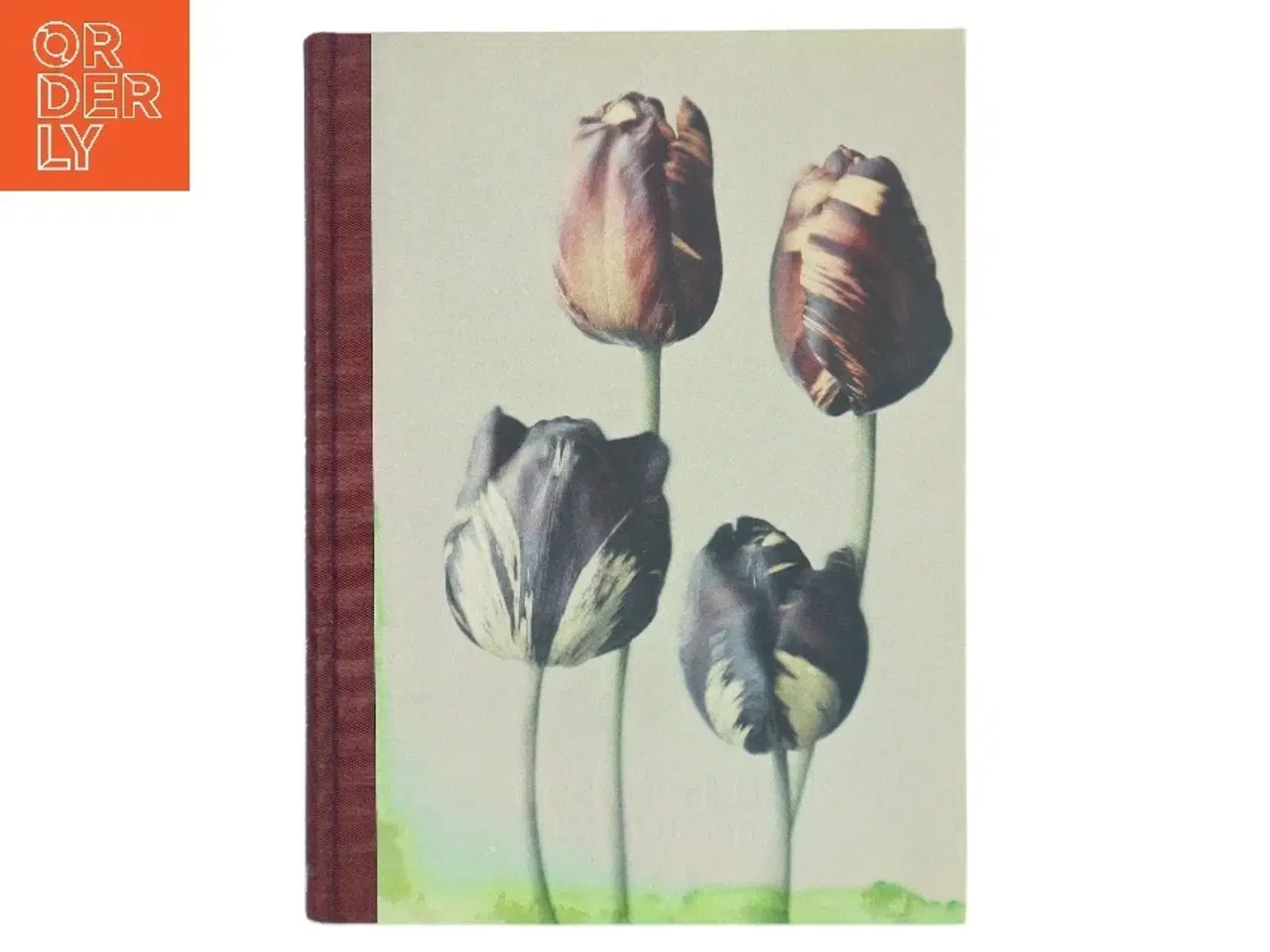 Billede 1 - Silent Beauties af Leendert Blok (Bog)