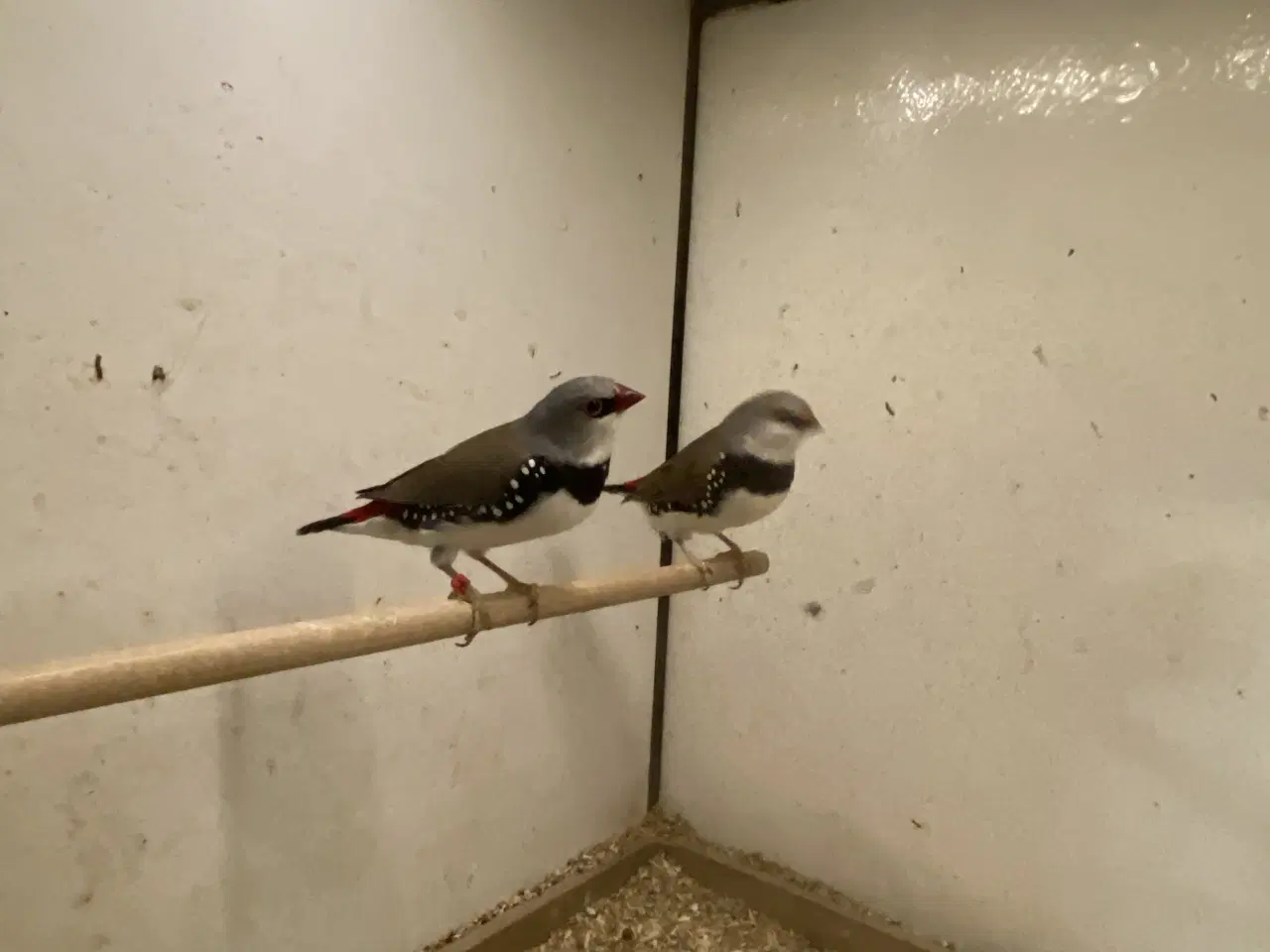 Billede 2 - Div finker