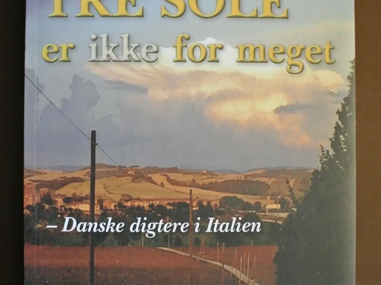 Billede 1 - tre sole er ikke for meget - danske digtere i ital