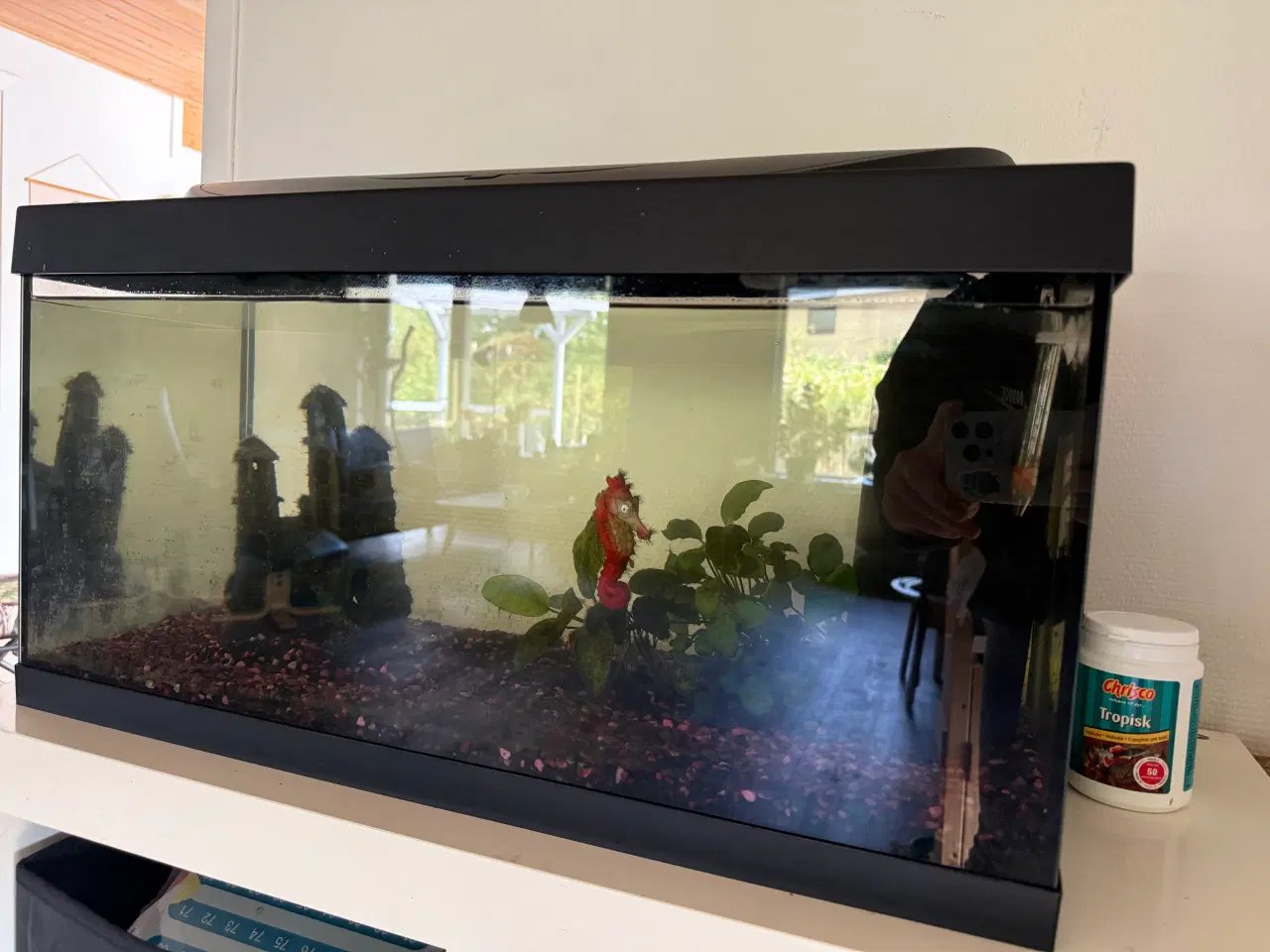 Billede 2 - Akvarie 54L 