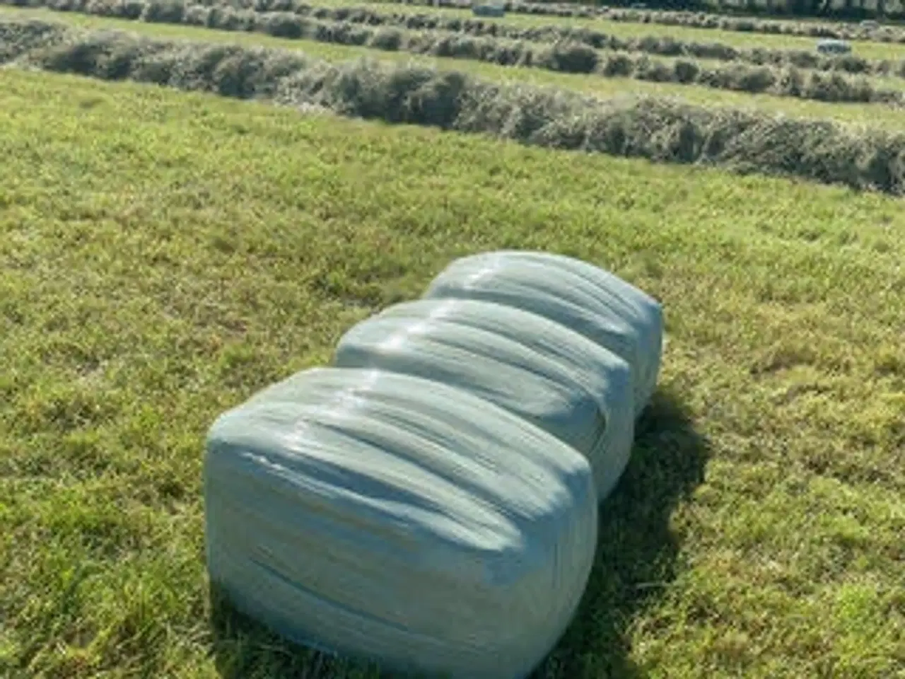 Billede 1 - Wrap 1slet til heste 