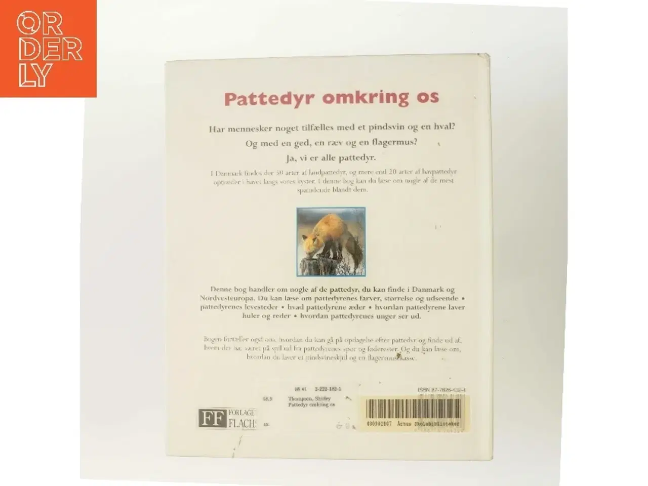 Billede 3 - Pattedyr omkring os af Shirley Thompson (Bog)