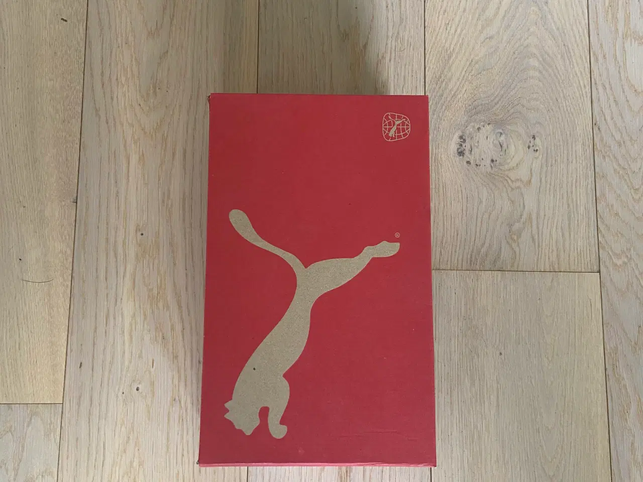 Billede 6 - Indendørs Fodboldsko PUMA