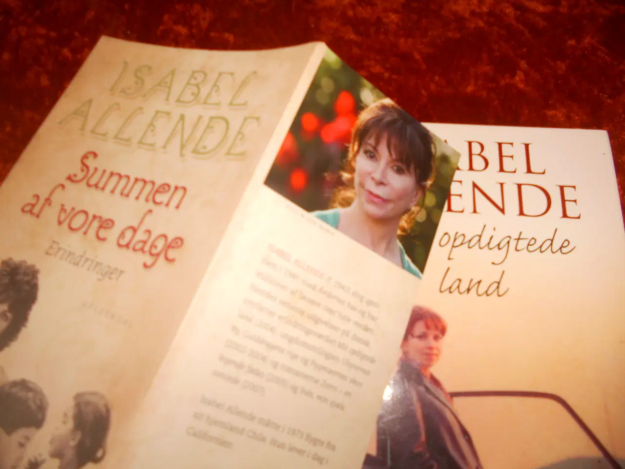 Billede 2 - Summen af vore dage m.fl, Isabel Allende,