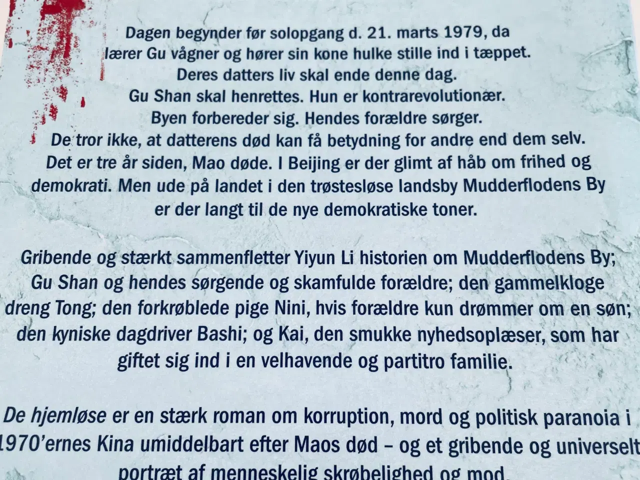 Billede 6 - De hjemløse - Yiyun LI