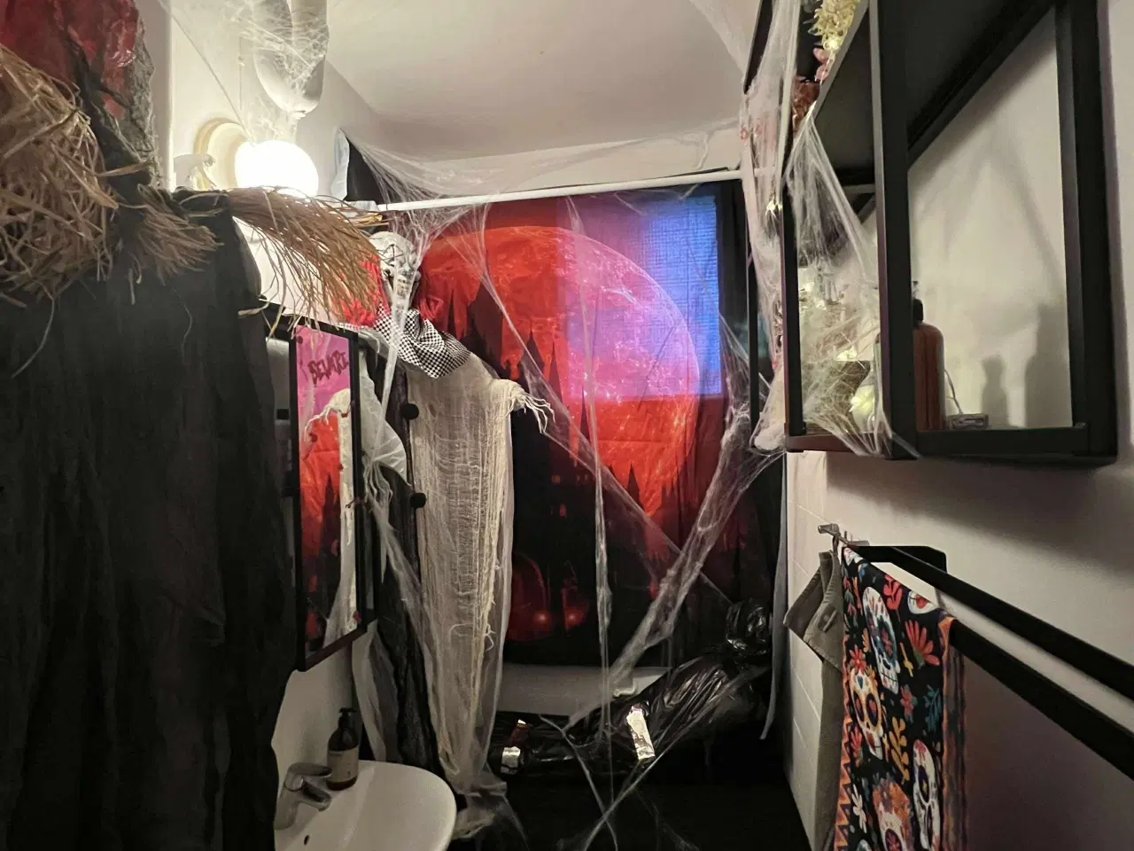 Billede 2 - UDLEJES - DEN STORE HALLOWEENPAKKE