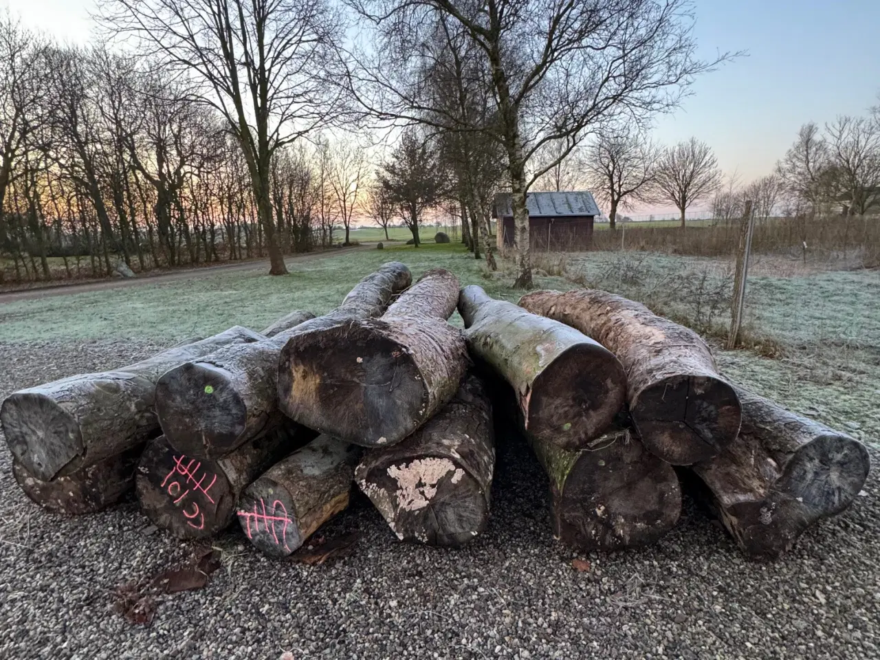 Billede 2 - Brænde 13 rm 