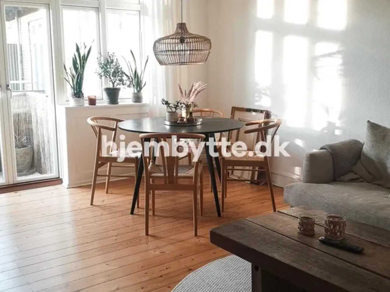 Billede 1 - Hjembytte - Scandiagade