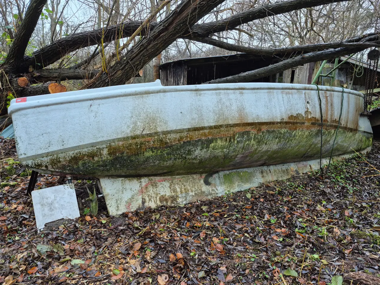 Billede 2 - Båd bortgives