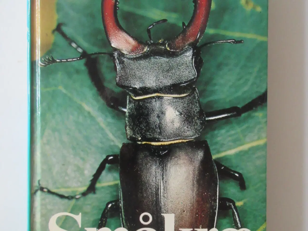 Billede 1 - Småkræ Sommerfugle, guldsmede, biller, snegle