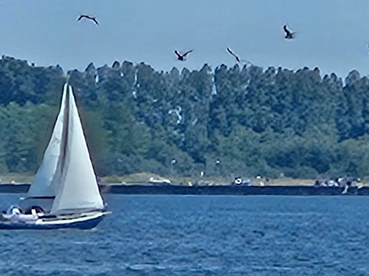 Billede 13 - Dehler Optima 85