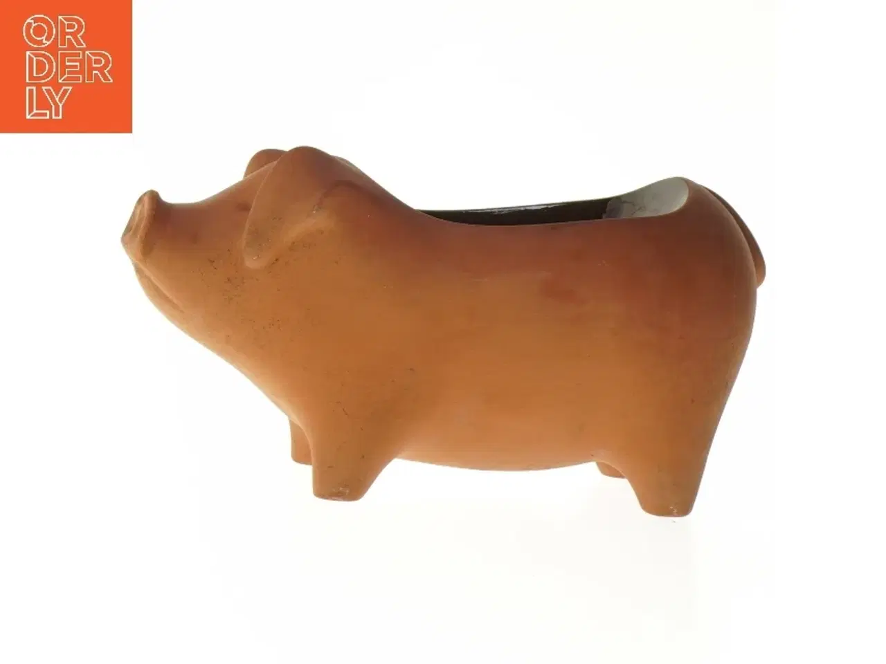 Billede 1 - Karsegris fra Knabstrup