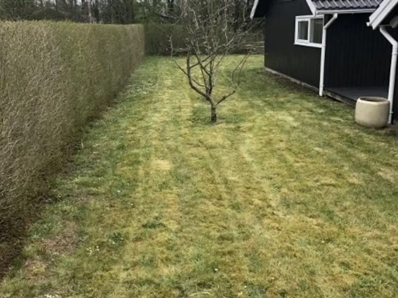 Billede 1 - Lækkert sommerhus nær Billund