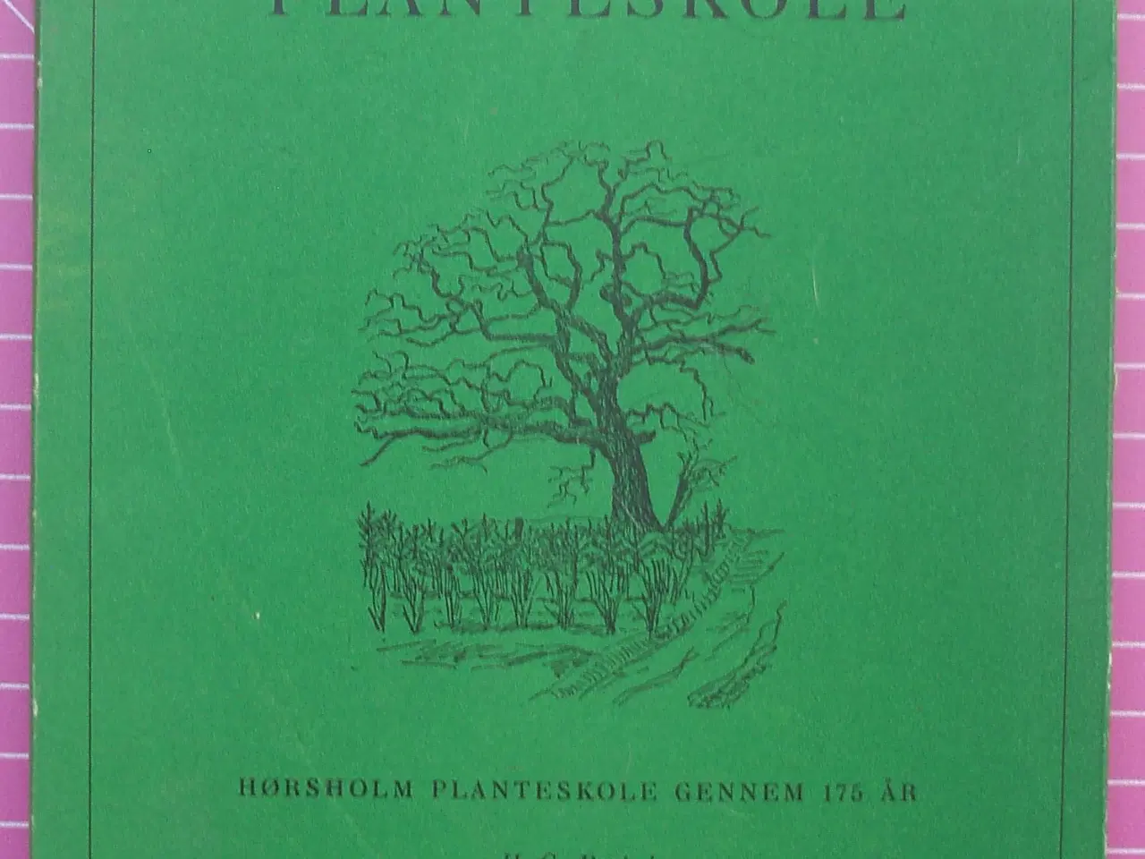 Billede 1 - Den Gamle Planteskole