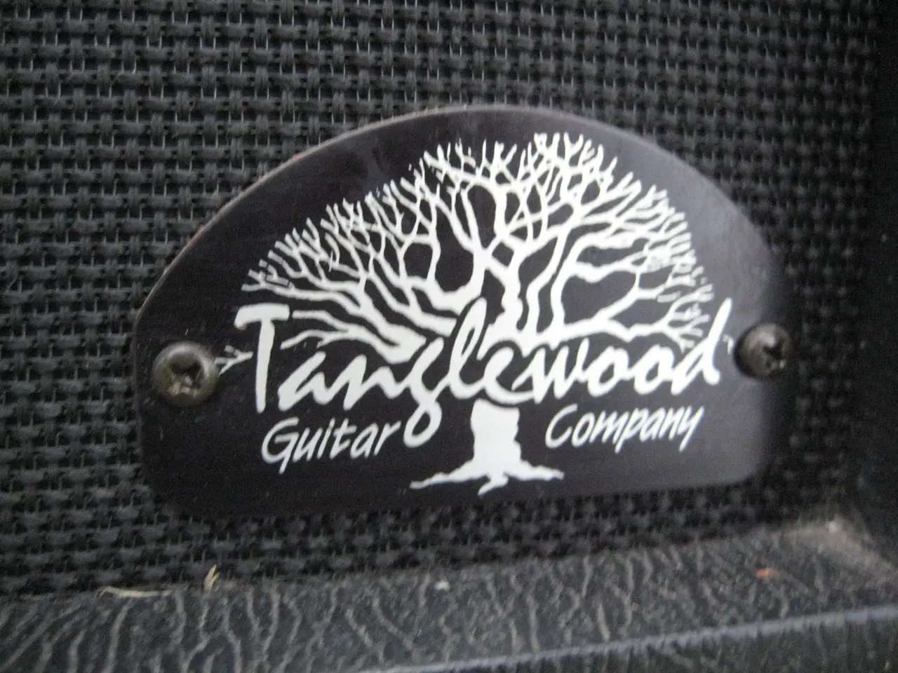 Billede 1 - Tangelwood "tube amp"