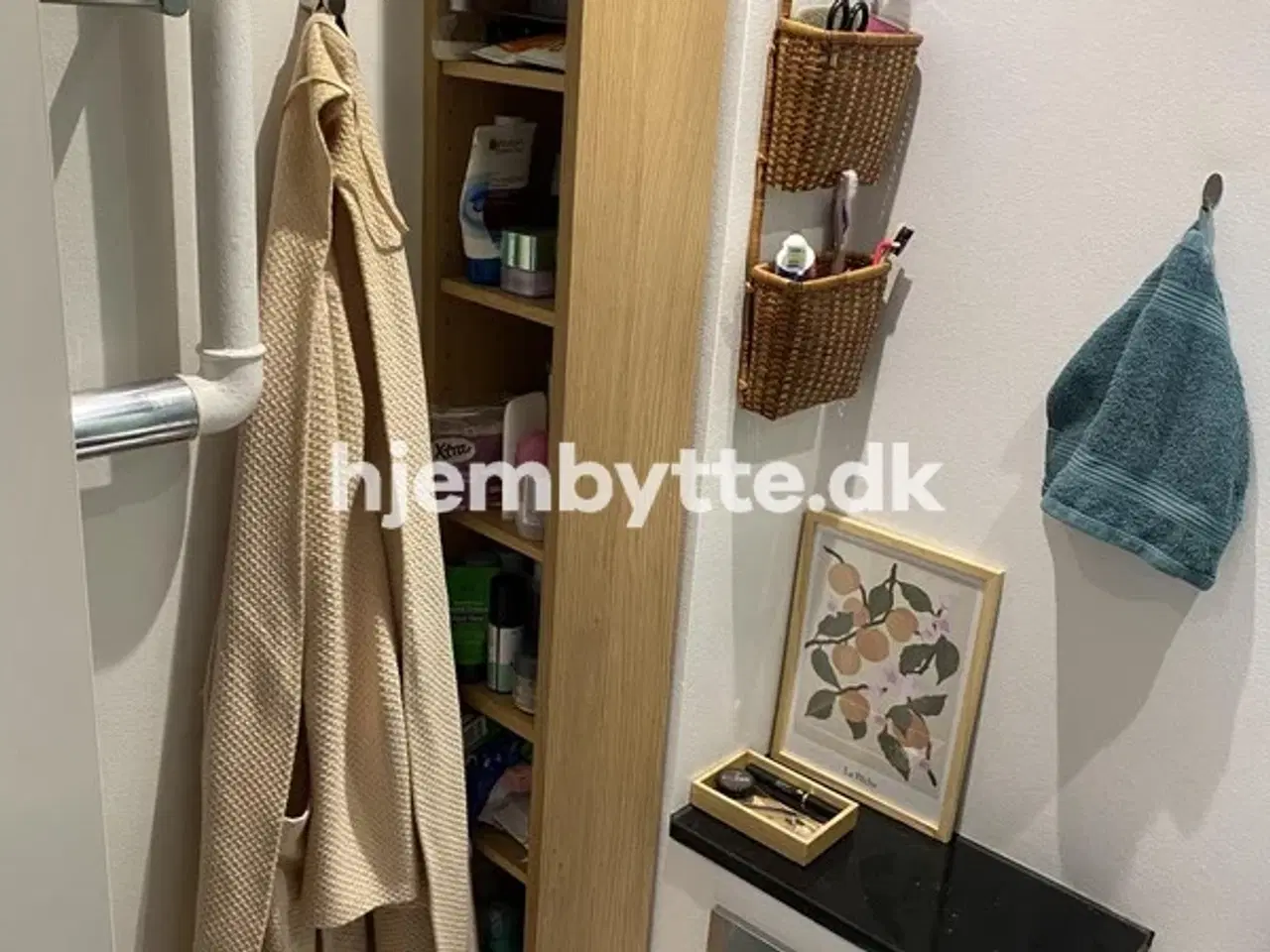 Billede 8 - Hjembytte - HostrupsHave
