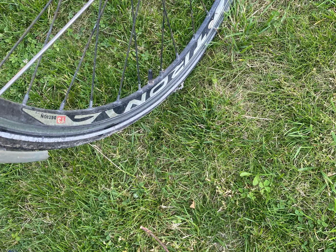 Billede 2 - Avenue herrecykel 58 cm