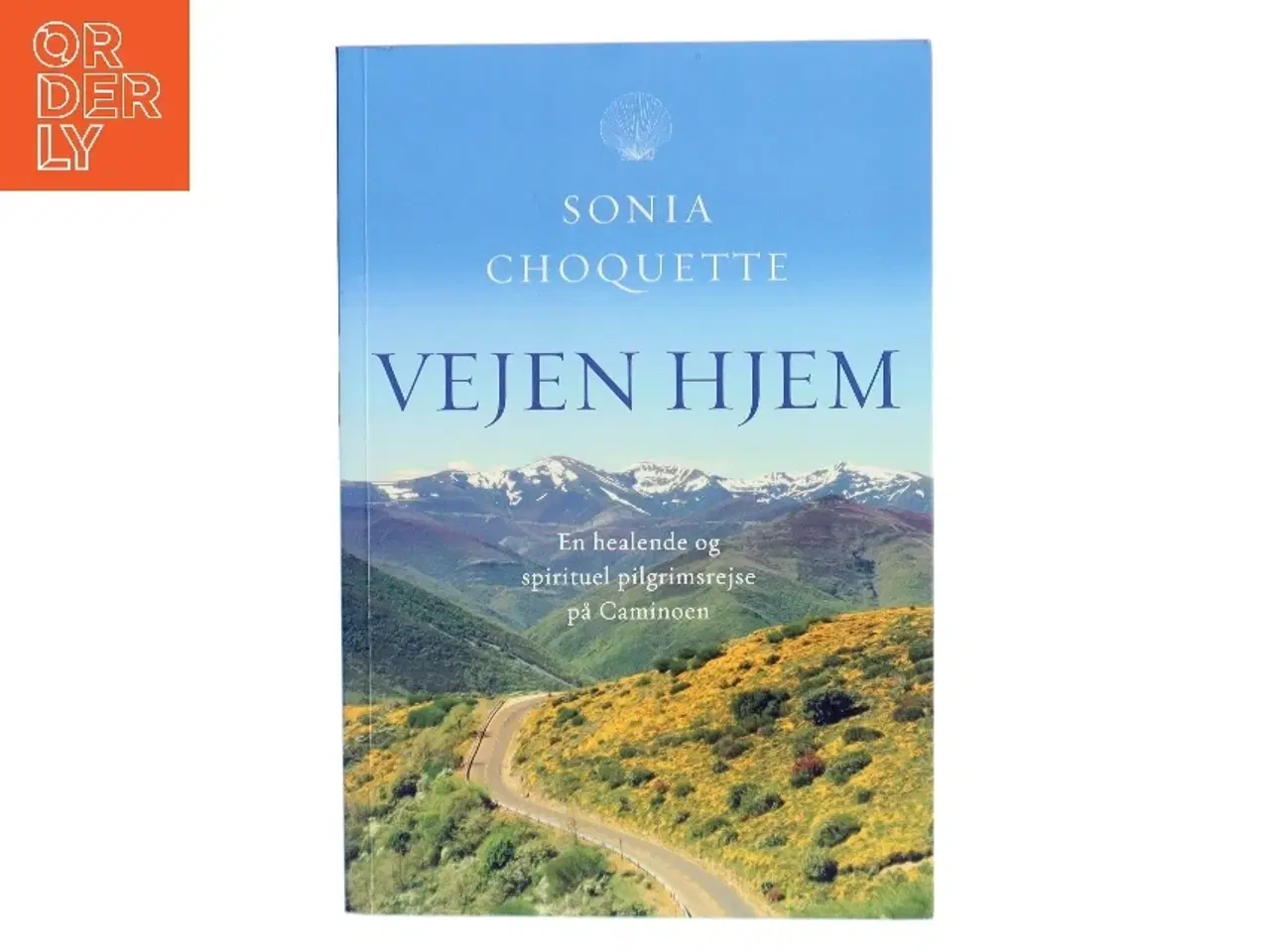 Billede 1 - Vejen hjem : en healende og spirituel pilgrimsrejse på Caminoen af Sonia Choquette (Bog)