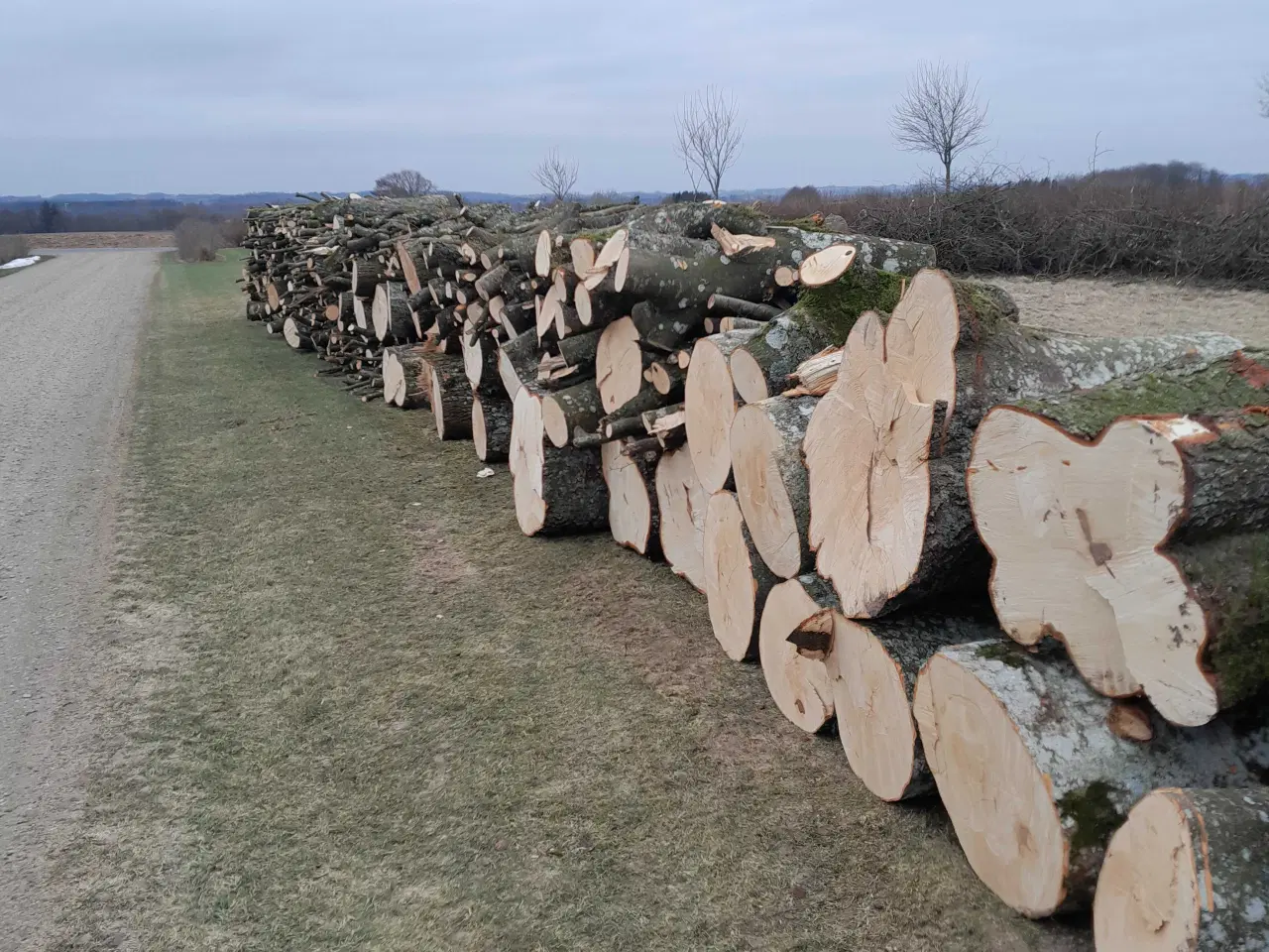 Billede 2 - BRÆNDE, BLANDET LØVTRÆ 18 mtr