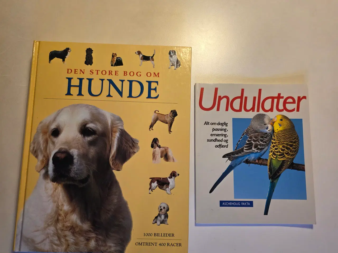 Billede 1 - Dyrebøger 
