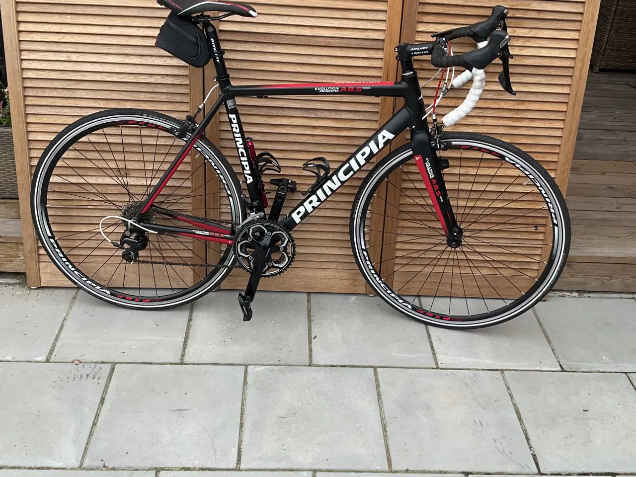 Billede 2 - Principia Evolution