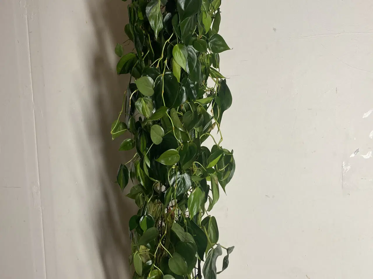 Billede 3 - Genbrugs Planter