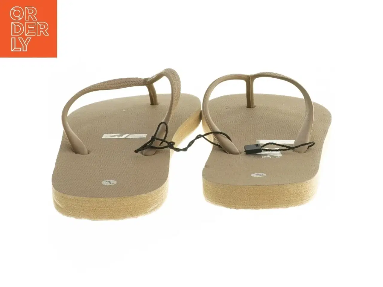 Billede 2 - Brune klipklappere (str. 38-39 cm)