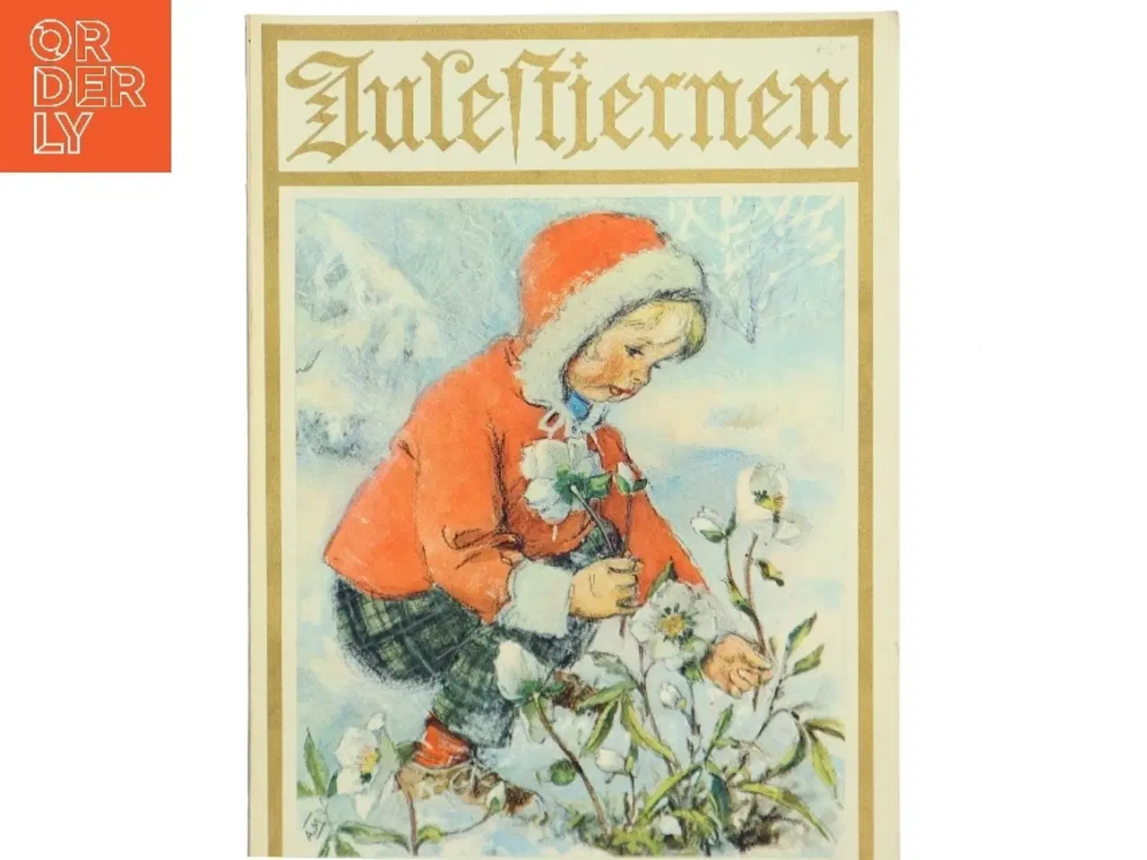 Billede 1 - Julestjernen