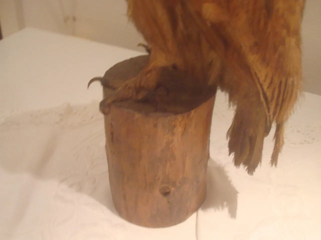 Billede 4 - UGLE, ret stor, flot farve - utrolig skønt udtryk 