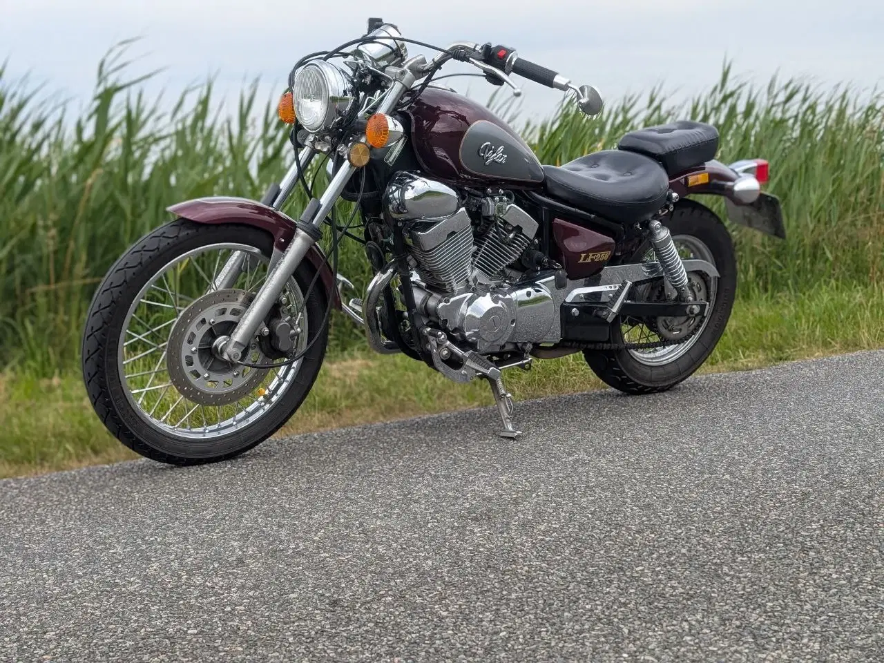 Billede 11 - Lifan Vintage 250