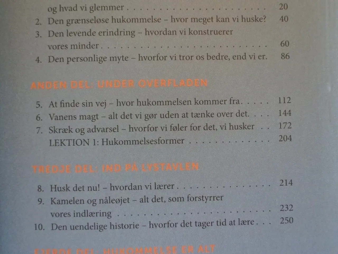 Billede 2 - en bog om hukommelsen, af thomas thaulov raab og p