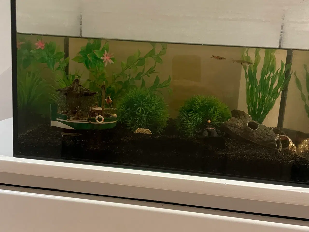 Billede 1 - Akvarie med 2 fisk og tilbehør