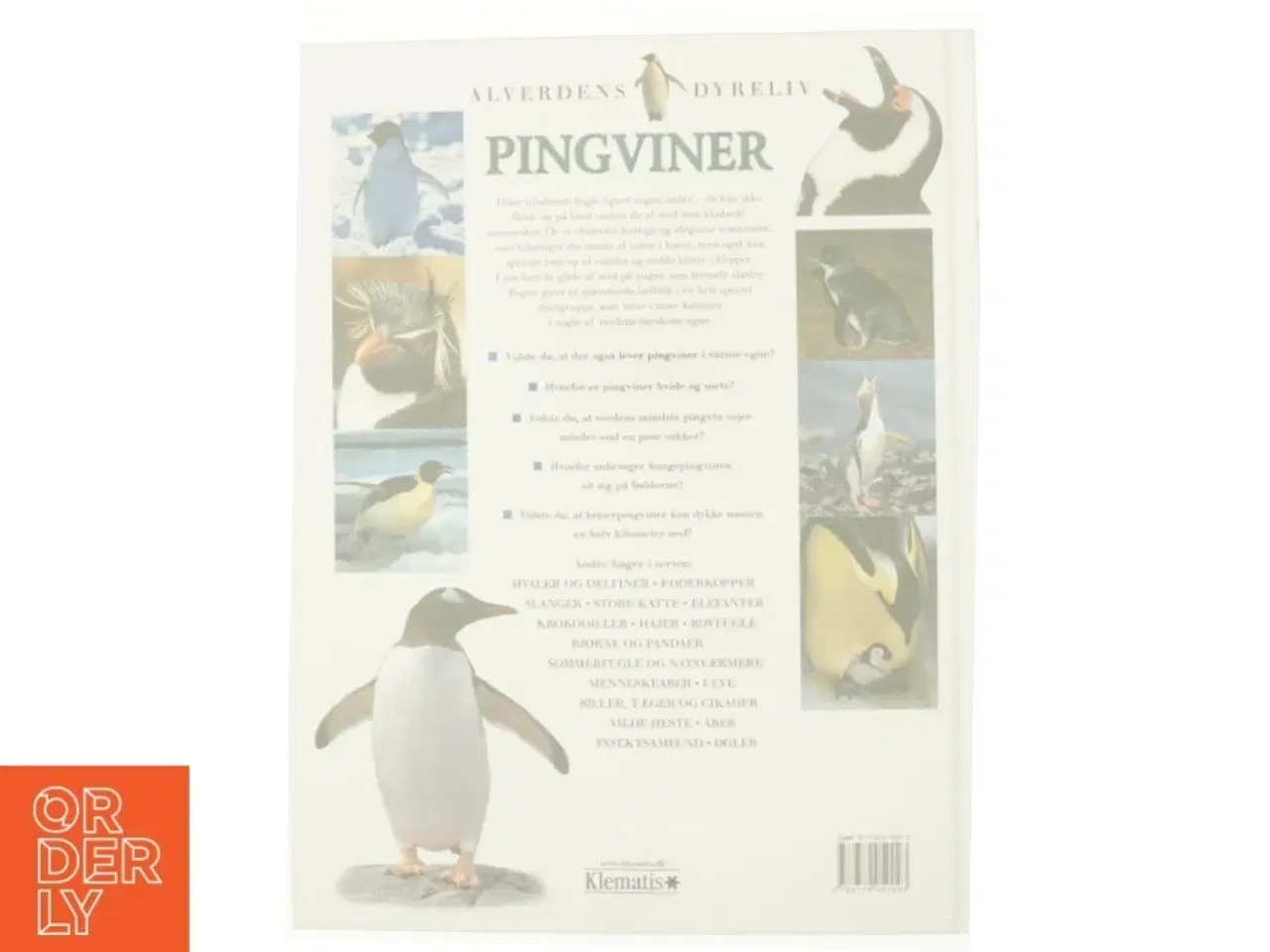 Billede 2 - Pingviner af Barbara Taylor (Bog)