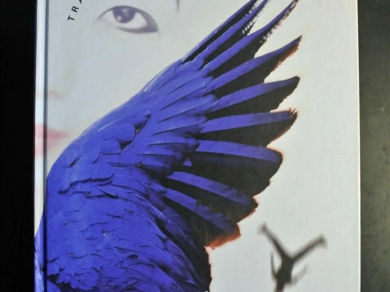 Billede 1 - trækopfuglens krønike, af haruki murakami, genre: 