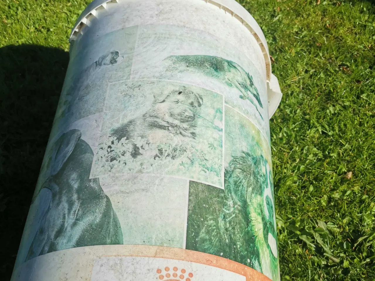 Billede 3 - Royal Canin Stor spand 4 kr