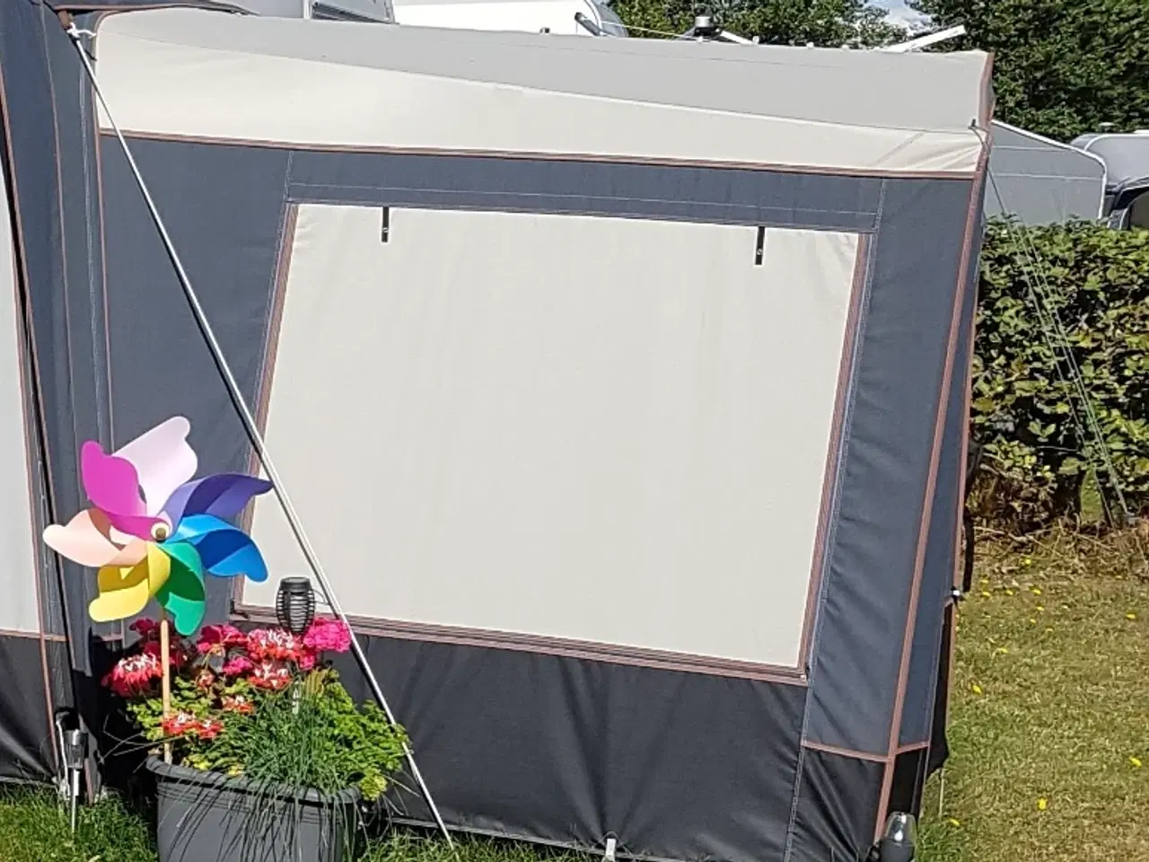Billede 1 - Annex isabella