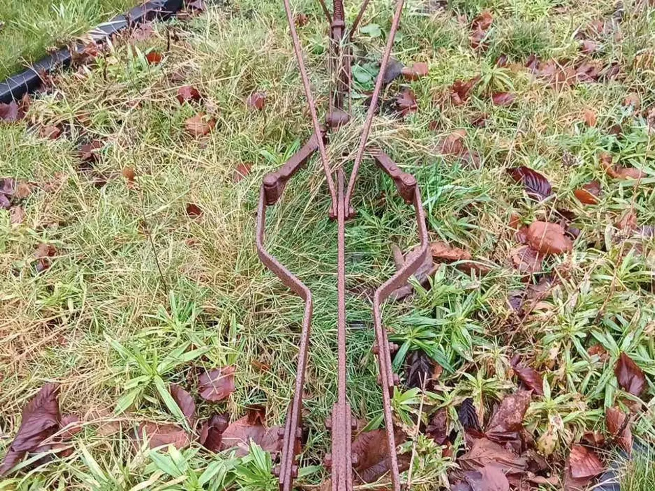 Billede 4 - Mark redskaber og vogn brugt som pynt og blomster.