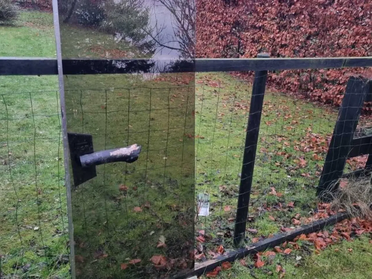 Billede 1 - Saunadør Sauna dør Glas